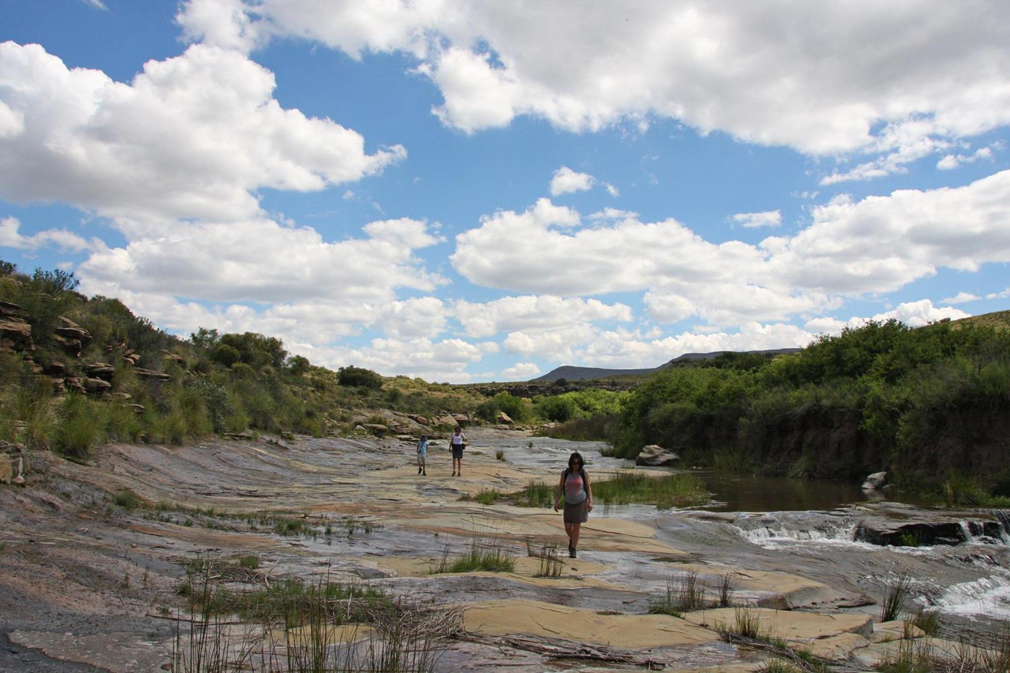 Sneeuberg Nature Reserve