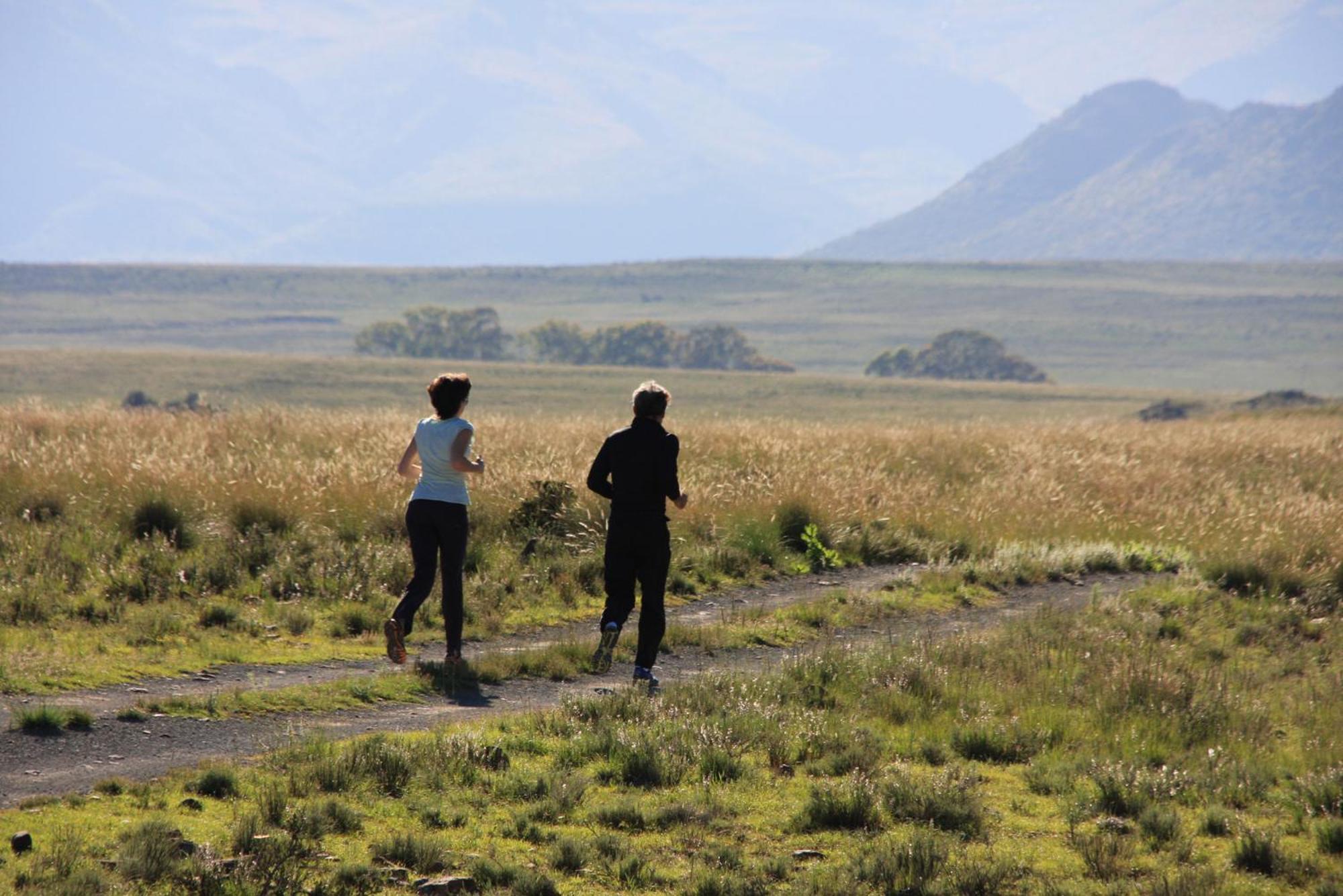 Sneeuberg Nature Reserve