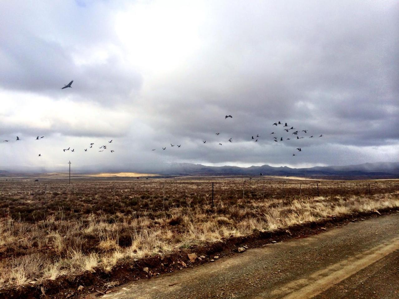Sneeuberg Nature Reserve * Nieu-Bethesda